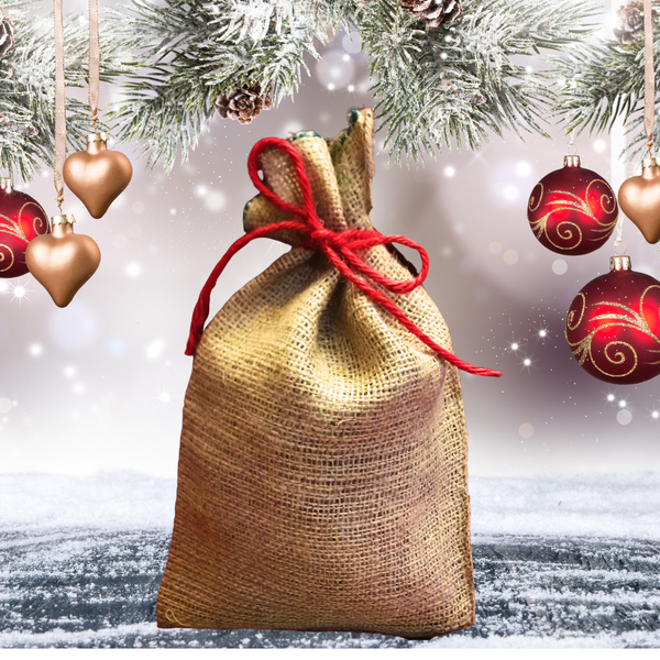 Gift Bag-Large Breed